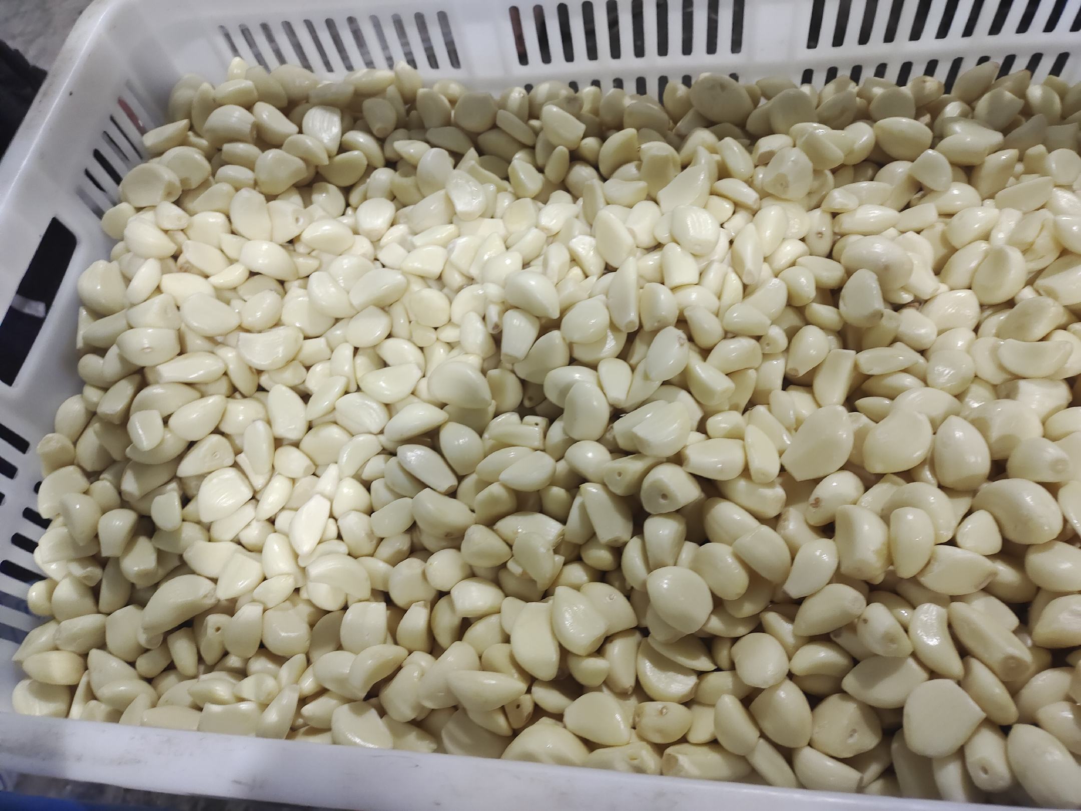 一个透明玻璃米缸中,白色大米中间放置了几颗去皮的蒜米,周围散落着几瓣完整的大蒜,整体干净整洁,背景为厨房木质台面,自然光线明亮 米缸中放置蒜米的实景图