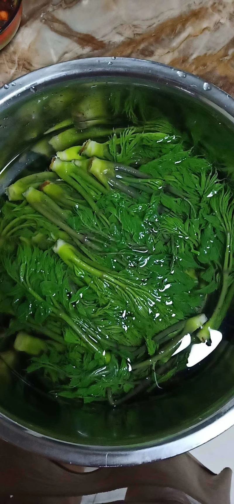 刺龙芽山野菜刺龙芽山野菜刺龙芽山野菜刺龙芽山野菜刺龙芽山