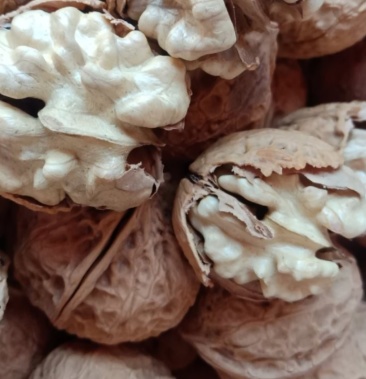 纸皮核桃楚雄大姚103精品纸皮核桃口感好