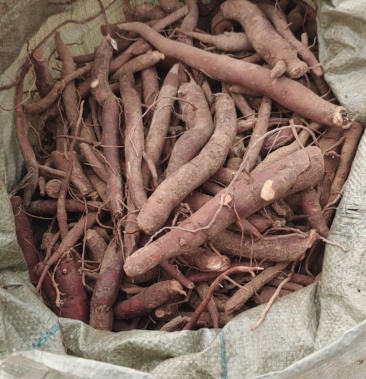 [芍药根批发]芍药根价格3.00元/斤 - 一亩田