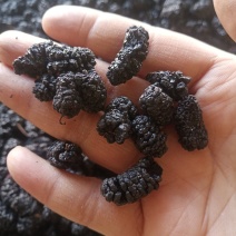 桑葚干大粒干果货500克泡水桑葚干货桑葚