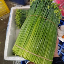 韭菜花