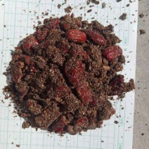 饲料枣粉，鱼粉