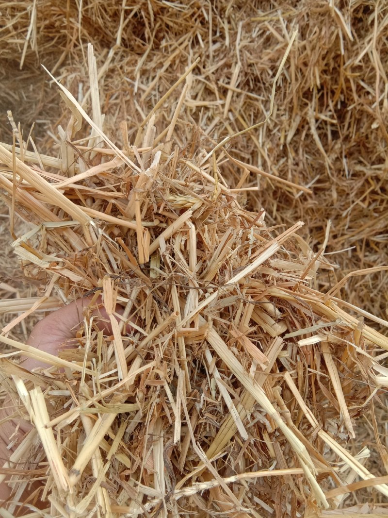 花生秧羊草压块麦草