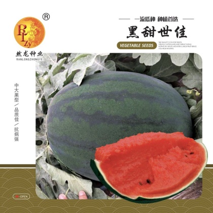 哈尔滨甜王西瓜种子产地行情