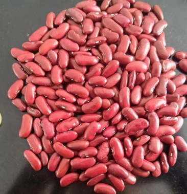 红芸豆红腰豆英国红
