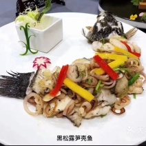 笋壳鱼，美味佳肴，营养价值高，上菜方便，非常适合广大酒店