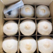 海南去皮椰青大量有货基地直销供应商超品质可以视频看货