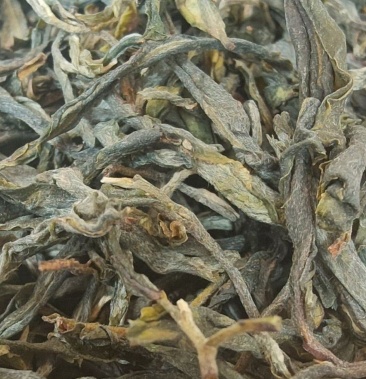 [冰岛批发]云南名茶云南省临沧市勐库镇冰岛产地大叶种藤条茶普洱茶