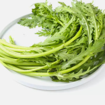 湖北省武汉市蔬菜基地直销茼蒿(超优品质)