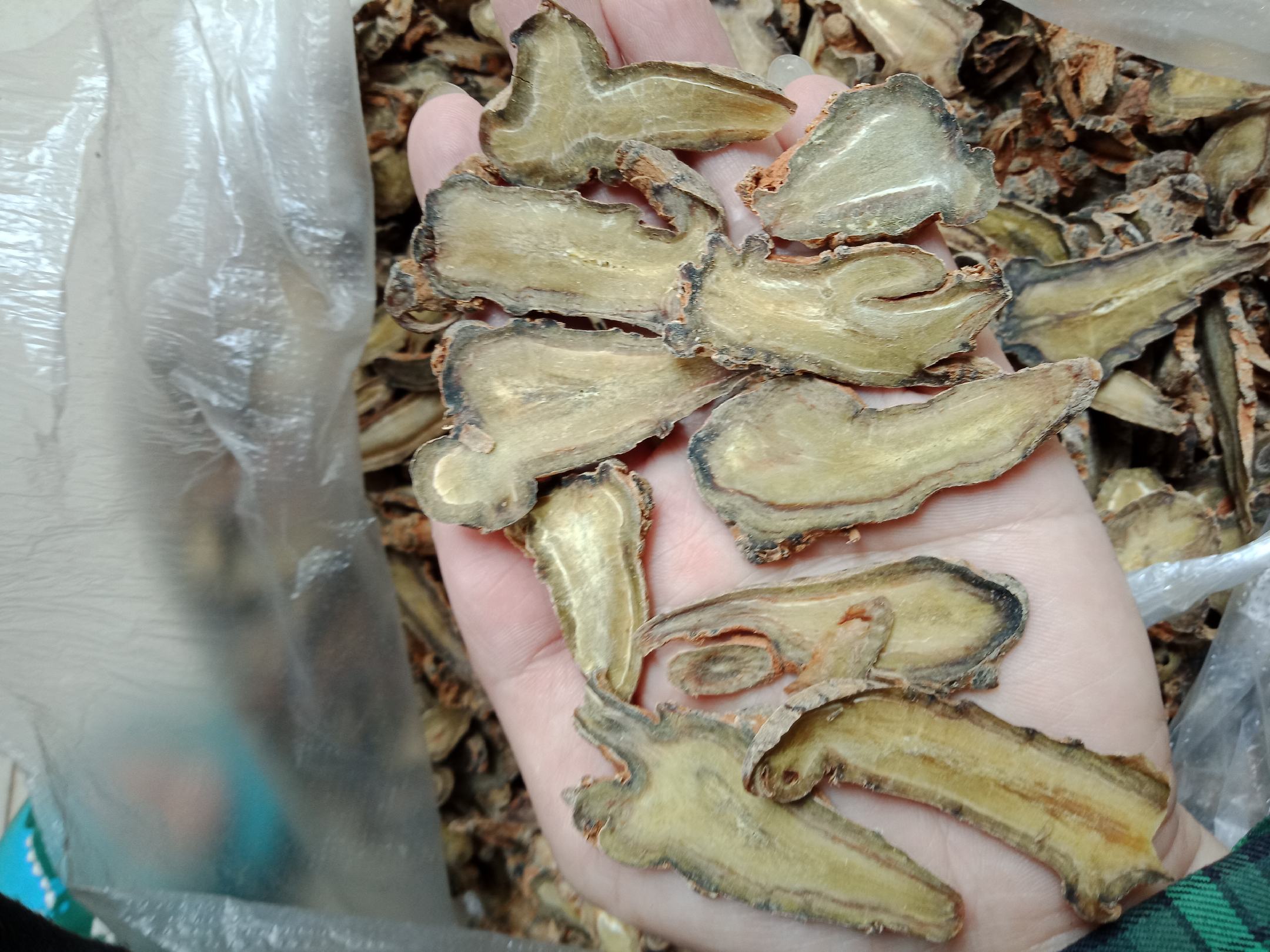 三七切片与超微粉对比展示