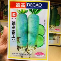 新品种杂交萝卜种子肉质脆甜耐抽苔四季农村南方北方蔬菜种子