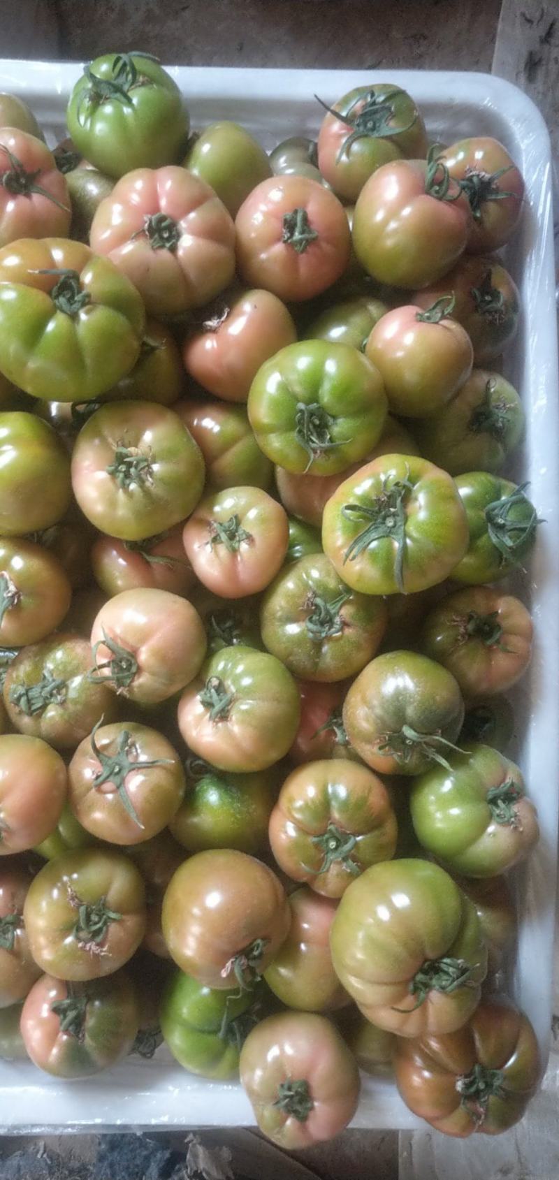 娄敬庵水果西红柿!根蒂翠绿皮薄肉厚,果肉酸甜适中