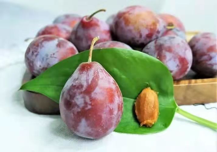 展示干红枣片蒸软前后的对比效果,软化明显 红枣片蒸软前后对比图