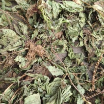 野葱，车前草，蒲公英，香椿，红薯粉