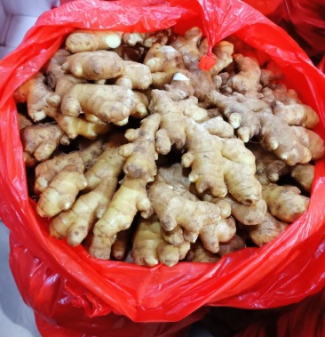 [小黄姜批发]山东小黄姜产地直销一手货源 全国发货价格1.