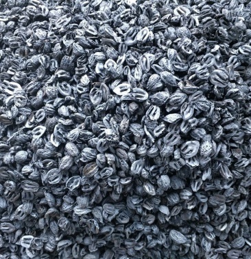 野生山核桃炭野外烧烤高温煮茶温度均衡无烟无灰