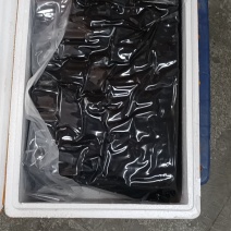 臭豆腐生胚