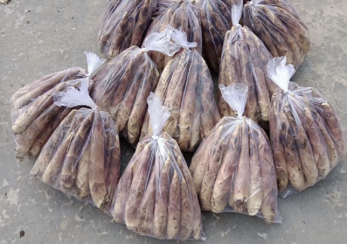 雷笋保存技巧的图文说明图示