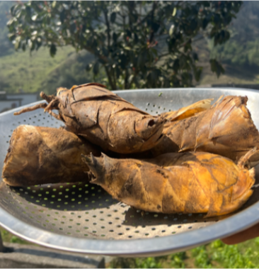 [竹笋批发]蓝竹笋价格3.00元/斤 - 一亩田