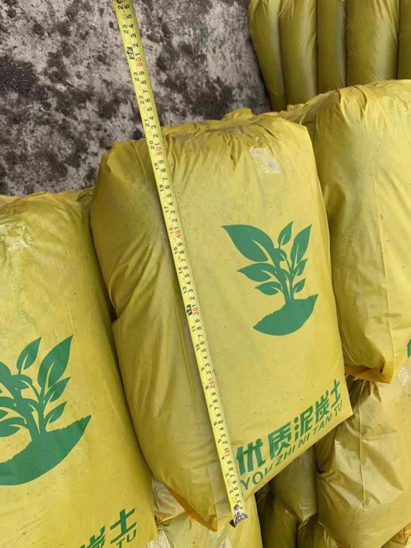 泥炭土——园艺界的秘密武器