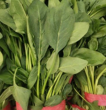 [小叶菠菜批发]小叶菠菜价格1.50元/斤 - 一亩田