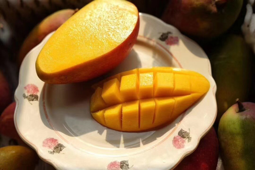 切开的贵妃芒特写