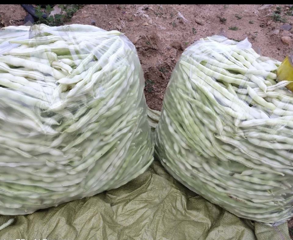 云豆电商直播销售现场