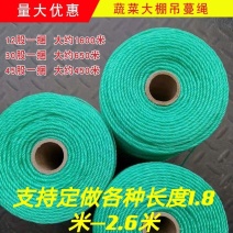 大棚蔬菜黄瓜西红柿辣椒吊绳吊蔓绳吊秧绳熟料塑料绳子抗氧化