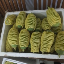 木瓜精品随时可聊