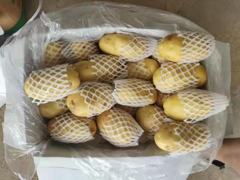 包装精美的荷兰7号马铃薯礼盒