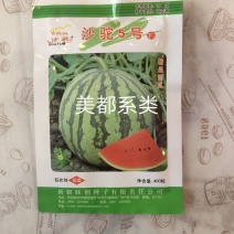 沙驼5号西瓜种子抗病抗裂含糖量高不空心，不阴瓤商品性强