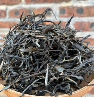 源头普洱小勐宋2022苦茶头春