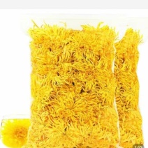 金丝皇菊