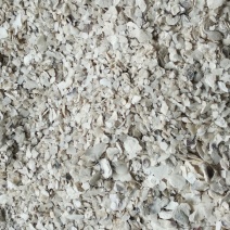 贝壳粉，水洗牡蛎壳粉，水洗生蚝壳粉，不带杂质