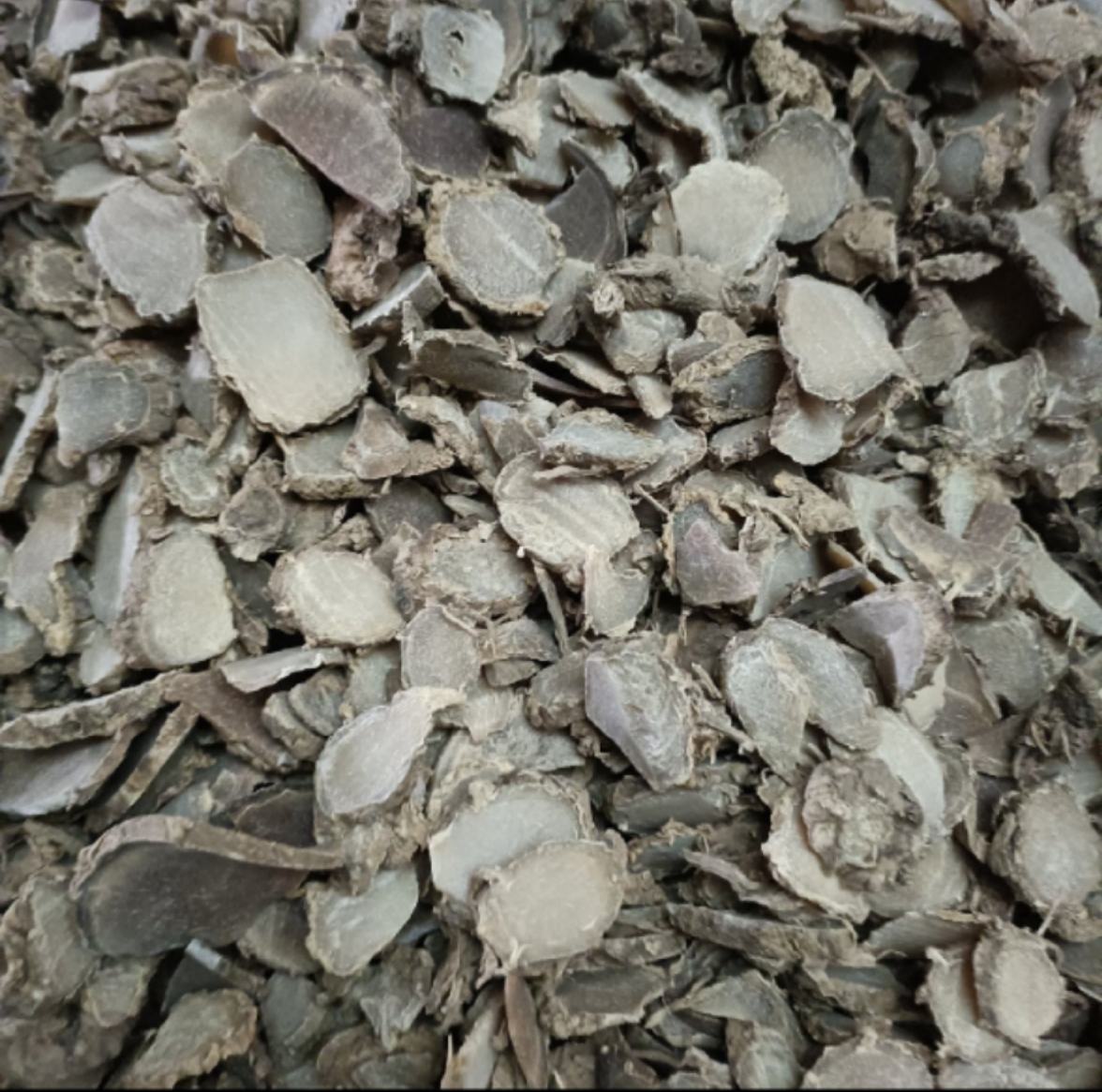 高清显微图像展示优质西洋参切片标准:圆形或类圆形,直径1.2cm左右,厚度2–3mm,表面浅黄白色,环纹清晰,无裂隙、无焦斑。旁边放置游标卡尺,显示精确尺寸。背景为中药鉴定实验室环境 高品质西洋参饮片标准示意图