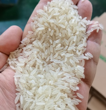 [长粒香大米批发]兆优5455价格2.08元/斤 - 一亩田