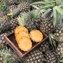 云南香水小菠萝一件代发3/5/9斤包邮带削果器