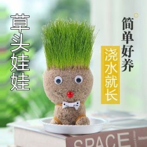 创意长草头娃娃迷你小植物盆栽室内阳台抖音同款可爱桌面摆件