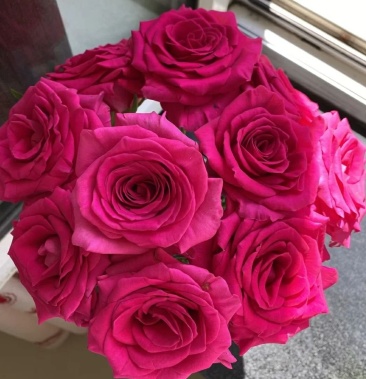 [玫瑰花批发]弗洛伊德玫瑰,兰蔻御用玫瑰价格2.00元/个 - 一亩田