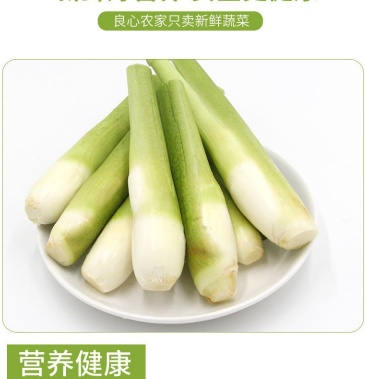 茭白5斤新鮮蔬菜包郵時令蔬菜娃娃菜孕婦菜非有機多省包郵