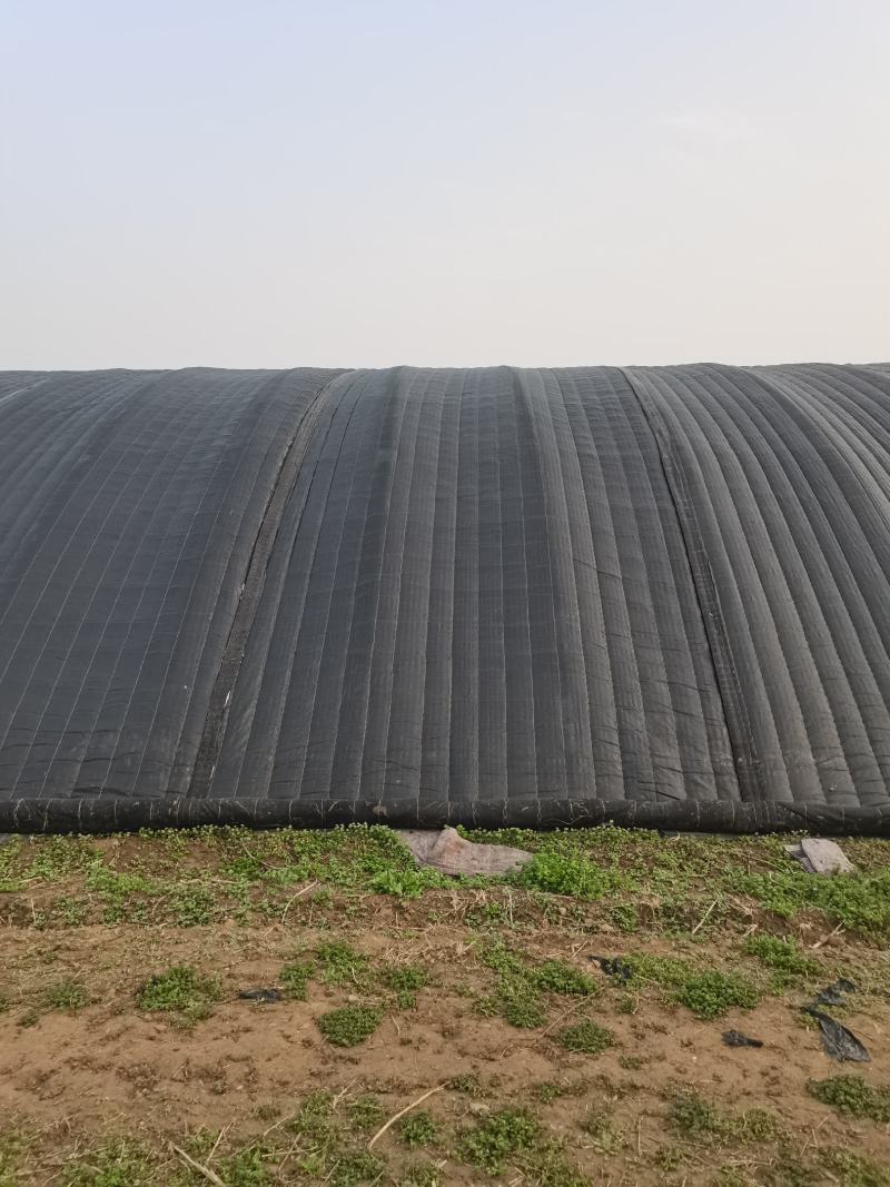 河南平顶山湛河区大棚配件 7