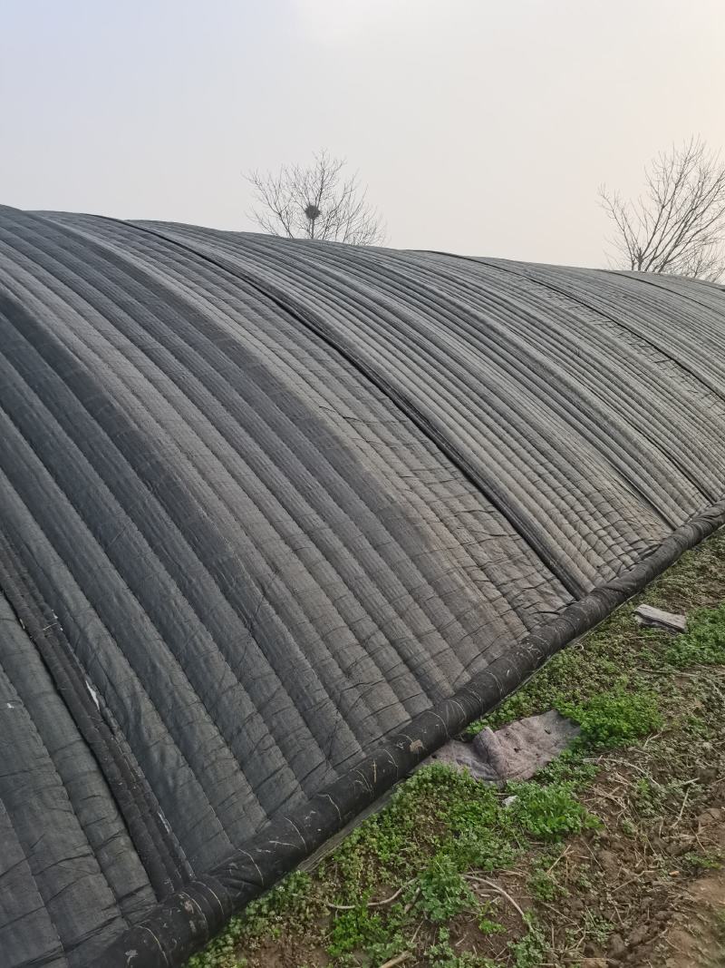 河南平顶山湛河区大棚配件 7