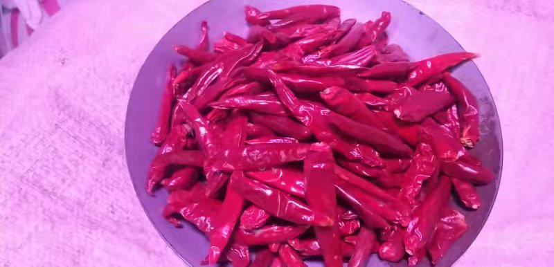 一盘色泽金黄微焦、香气扑鼻的孜然三宝盛在白色瓷盘中，松花菜颗粒分明，土豆片边缘微焦，豆腐干呈琥珀色