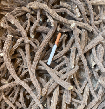 精品好货续断云南续断中药材和尚头续断统选货