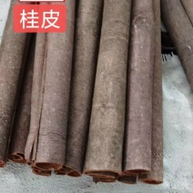 桂皮，广西桂皮，厚实，新货上市，产地直销，