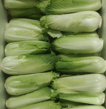 [鲜辣椒批发]辣椒龙牙菜价格1.10元/斤 - 一亩田