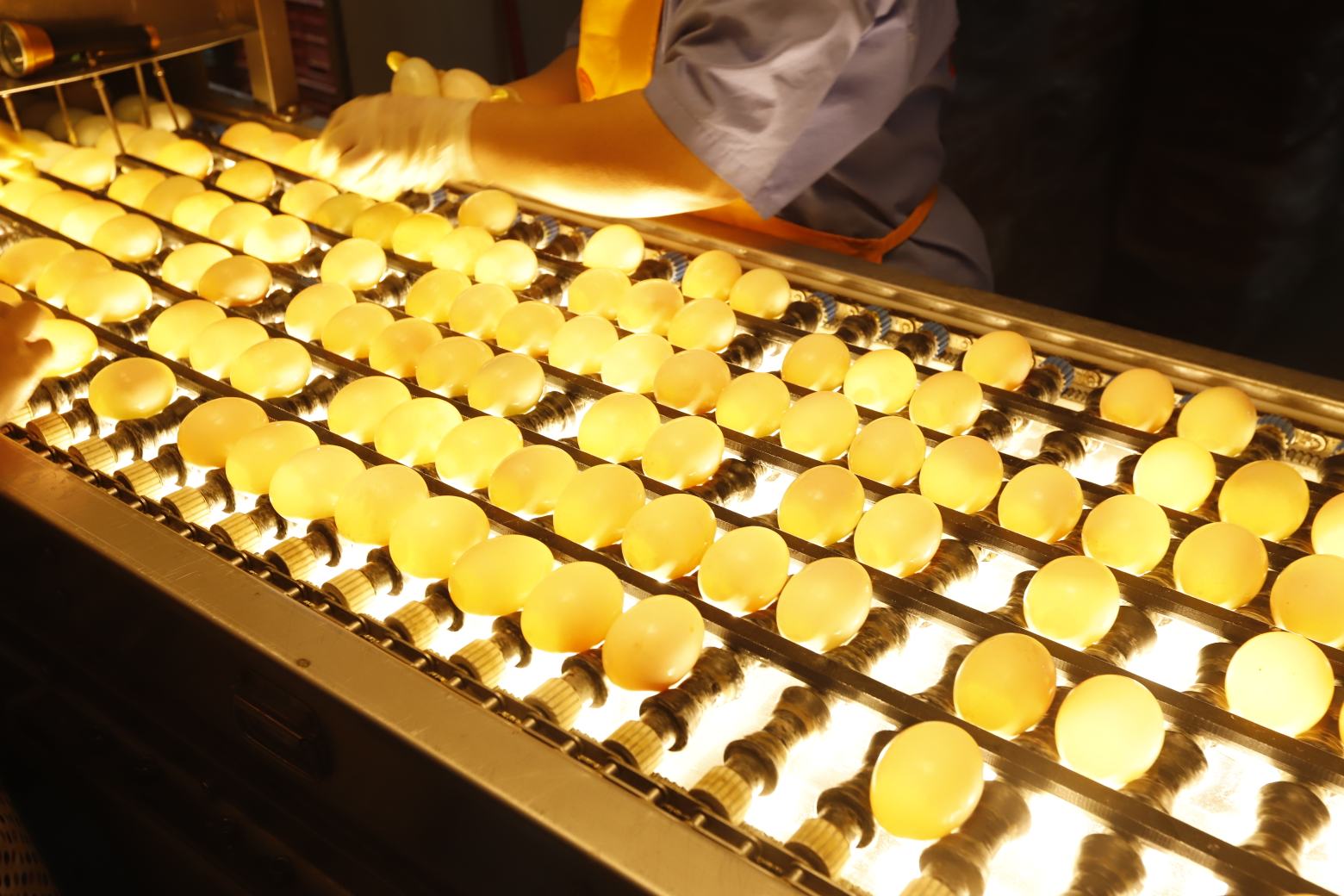 现代食品检测实验室中的咸鸭蛋样品分析场景