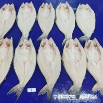 巴沙鱼批发