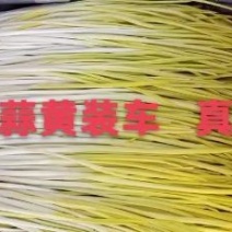 精品蒜黄
